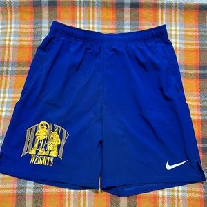 Nike dri fit shorts
